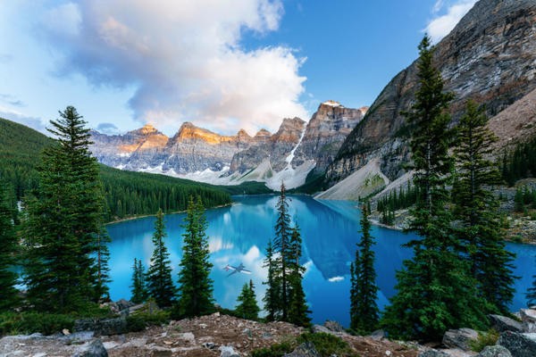 Lake and evergreen trees