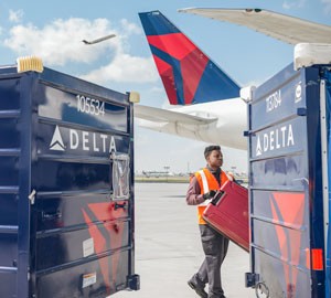 Delta baggage