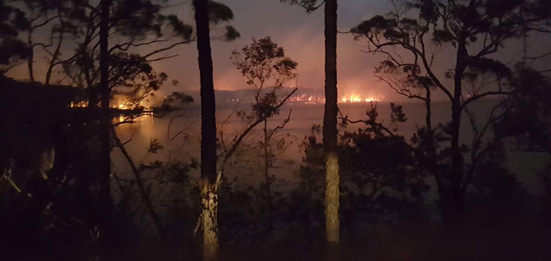 bushfire bushfire