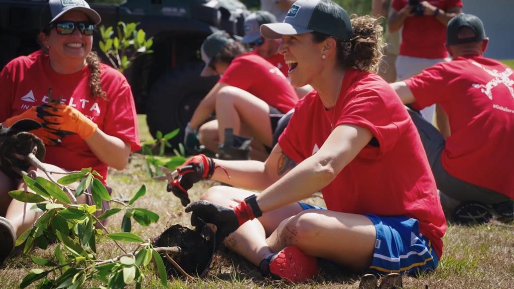 Tree planting