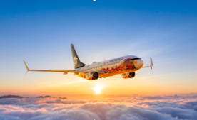 Delta and Korean Air Tails